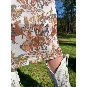 Buckaroo Long Sleeve Mesh Dress