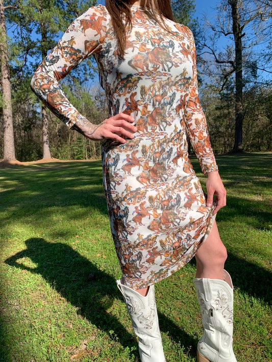 Buckaroo Long Sleeve Mesh Dress