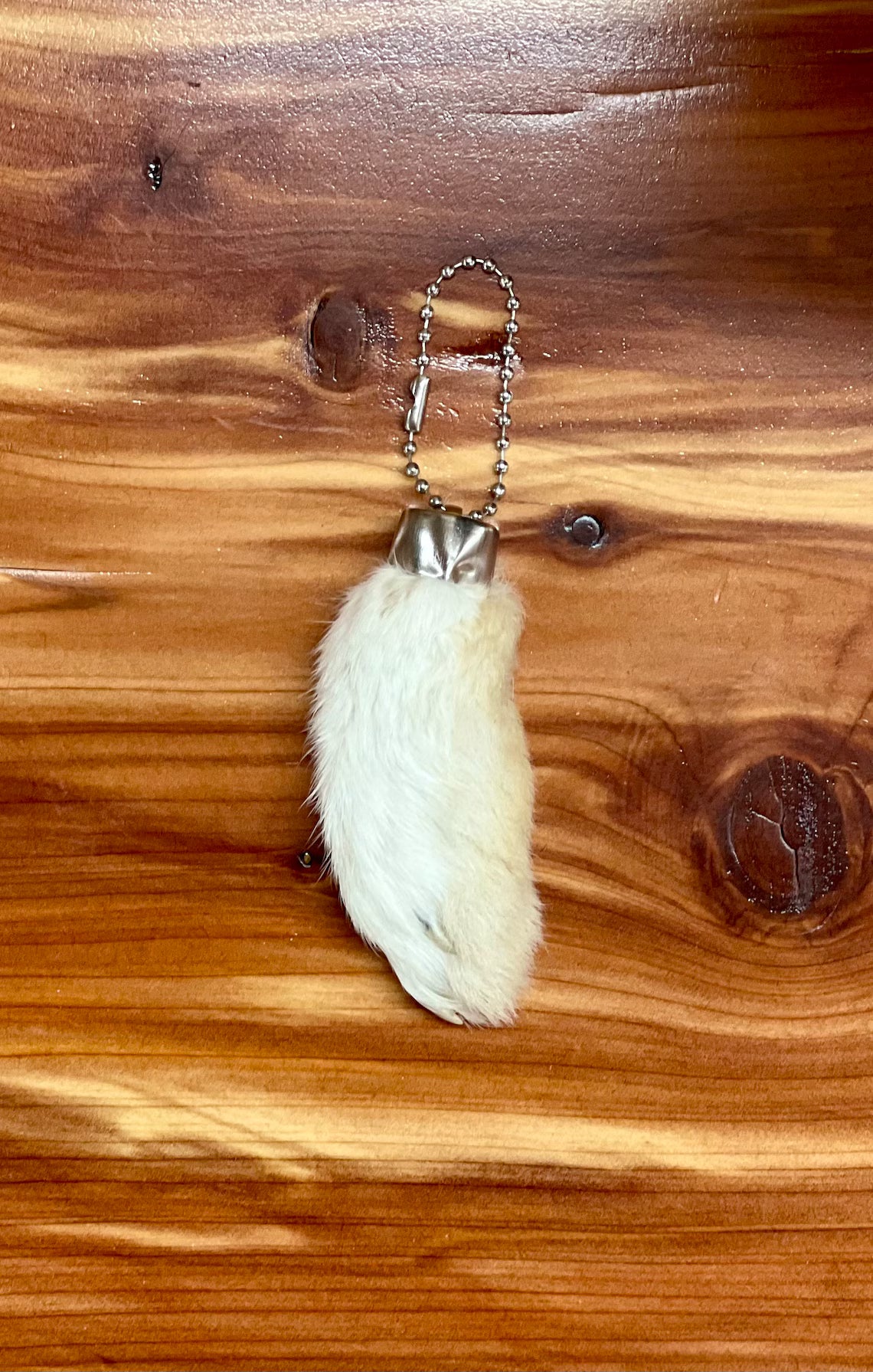Genuine Rabbits Foot Keychain